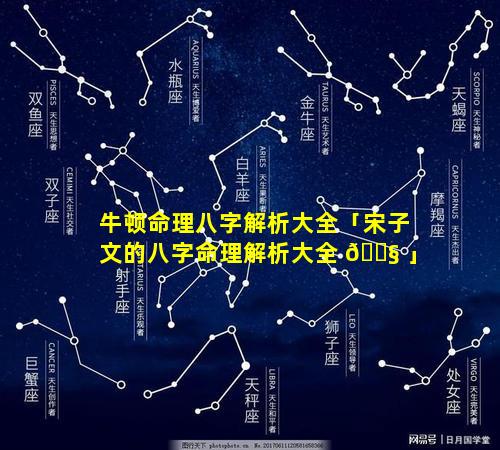 牛顿命理八字解析大全「宋子文的八字命理解析大全 🐧 」